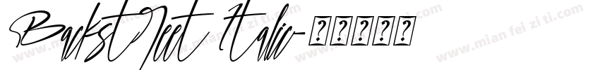 Backstreet Italic字体转换